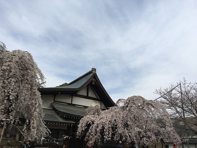 冰室神社图片