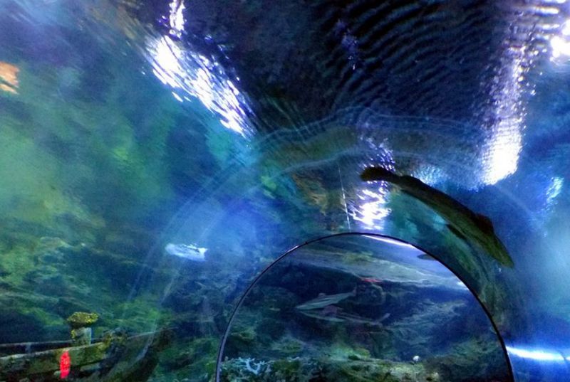 海底世界水族馆