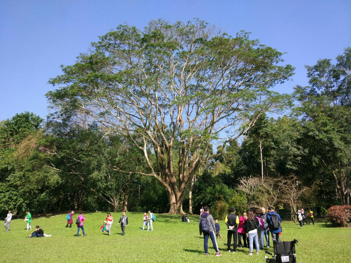 2018中科院西雙版納熱帶植物園_旅遊攻略_門票_地址_遊記點評