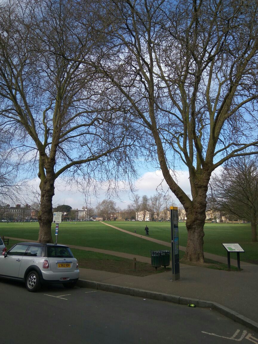 倫敦richmond park好玩嗎,倫敦richmond park景點怎麼樣_點評_評價