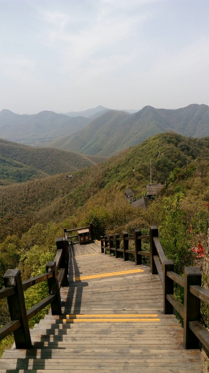 南山竹海一日游攻略(南山竹海一日游攻略南山竹海小朋友要买门票吗)