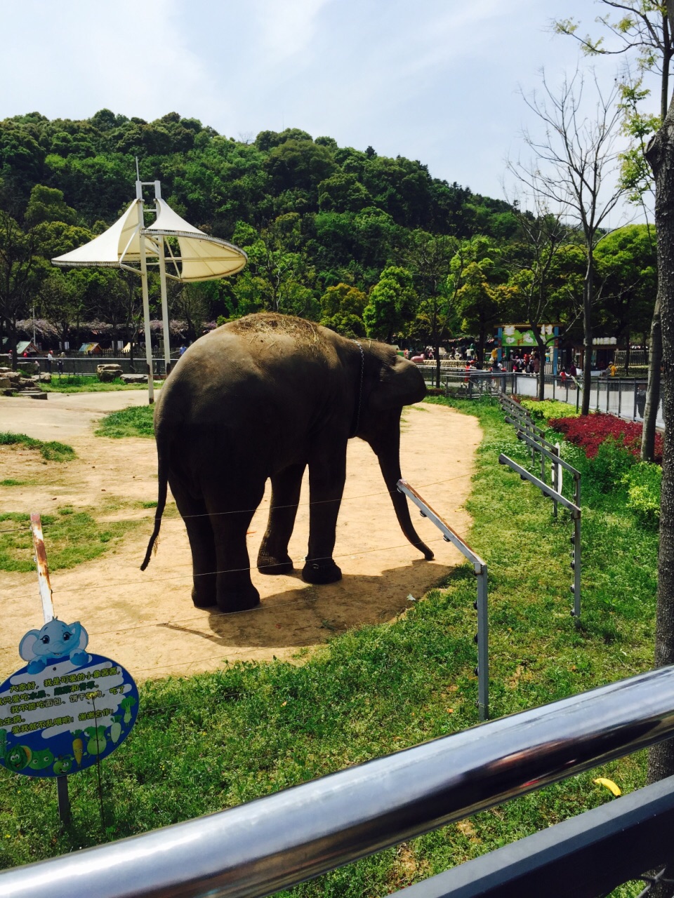 無錫動物園(太湖歡樂園)