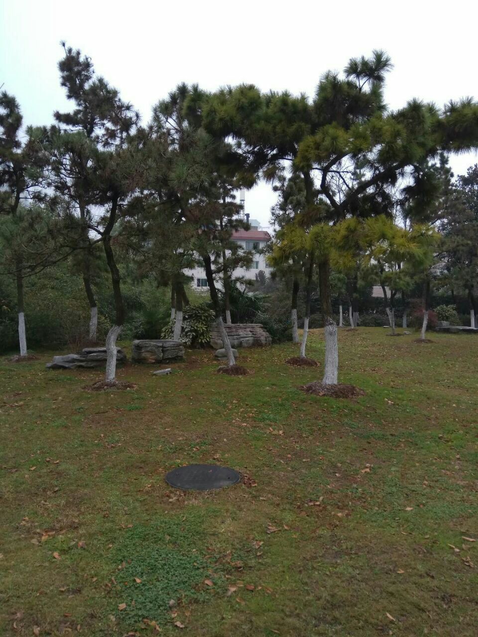 北京青年园攻略,北京青年园门票/游玩攻略/地址/图片/门票价格【携程