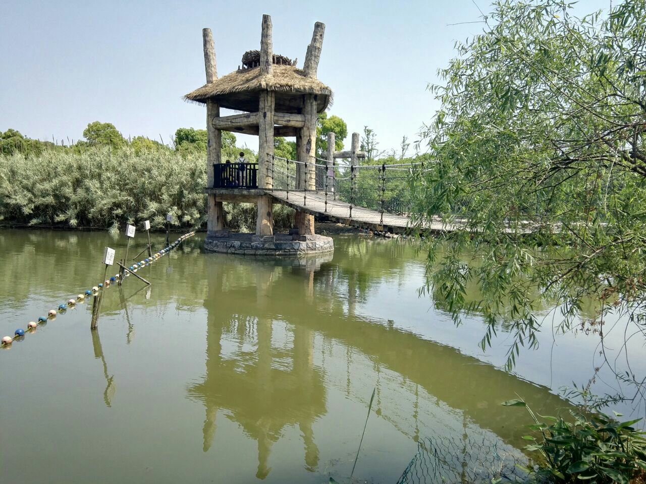 金仓湖图片