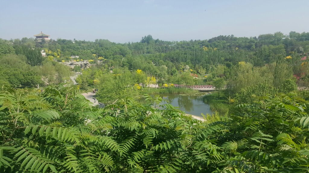 北京终于下雨了,远郊区哪里好玩好吃?