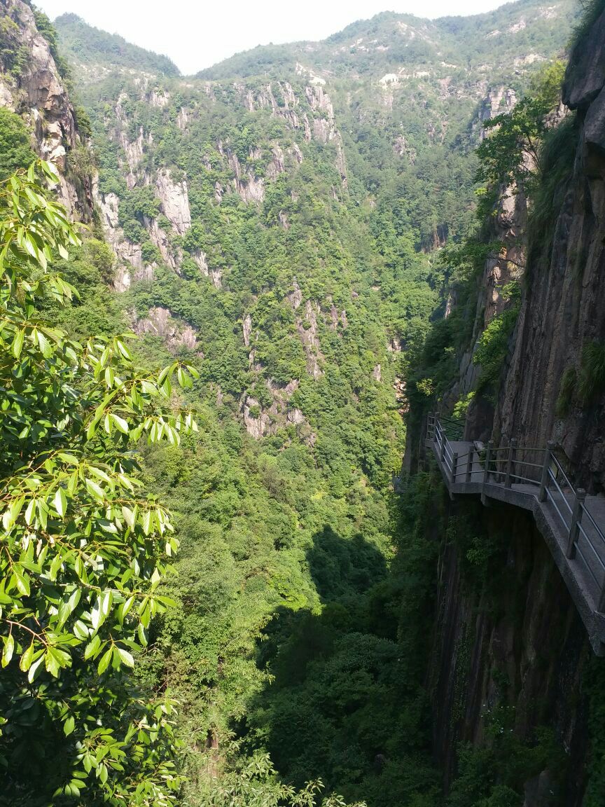 陕北民歌山连着山简谱图片