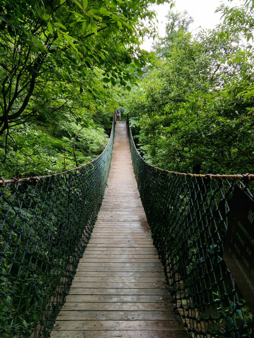 莫干山大坑景区图片图片