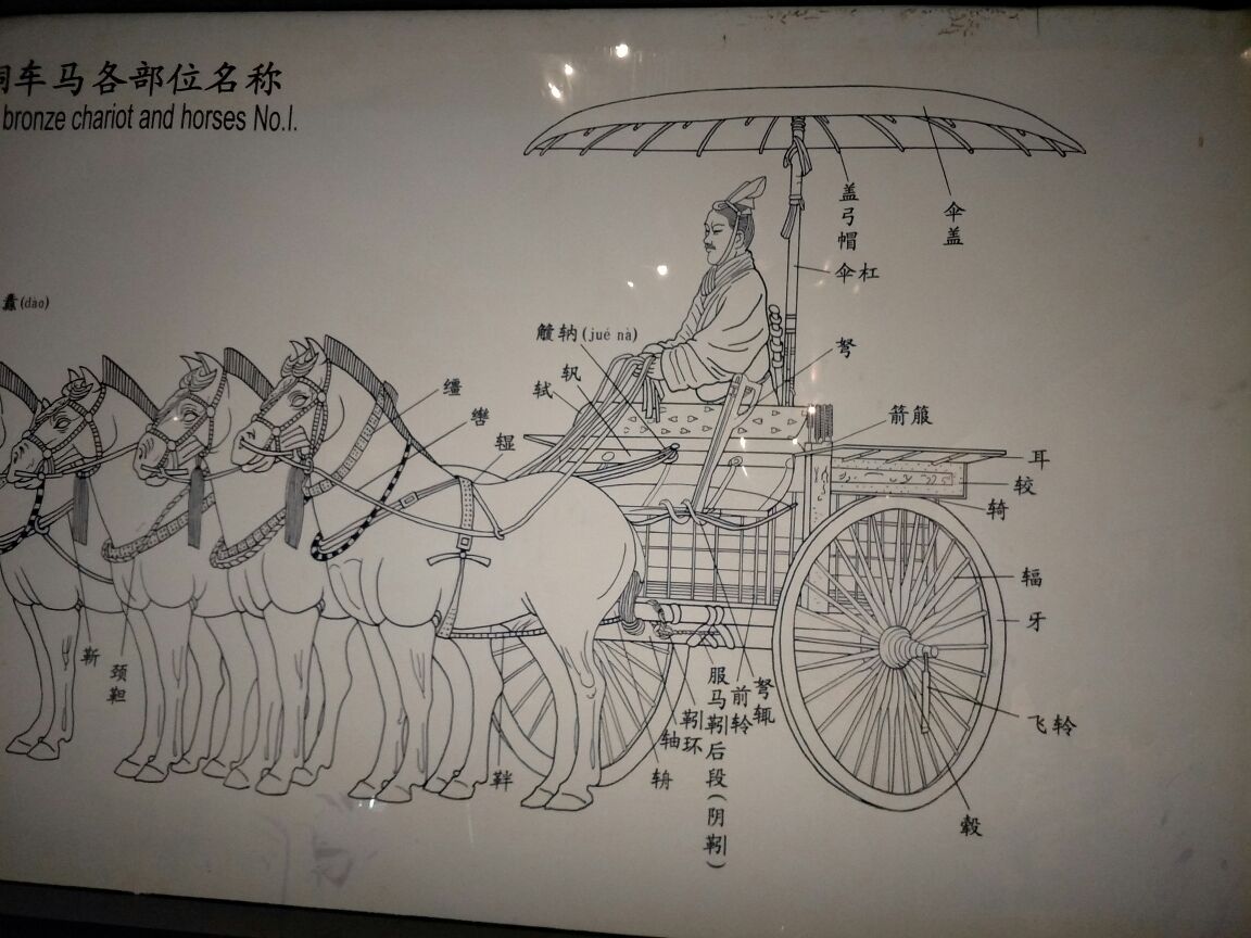 古代王爷马车规格图片