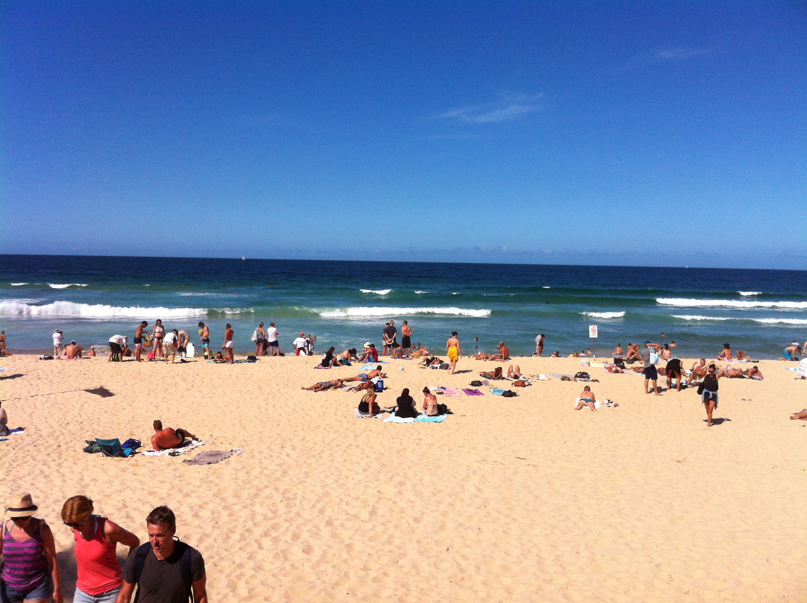 fast ferry 去了曼利海滩 manly beach,这个轮渡
