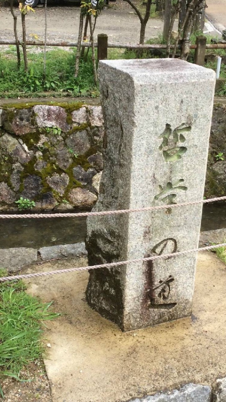 哲学家小径philosophenweg