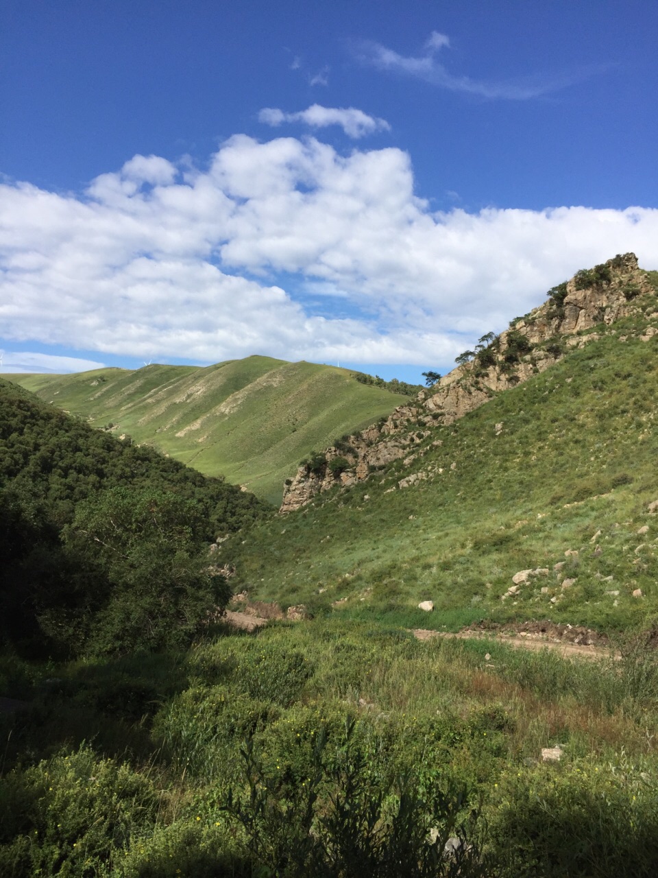 輝騰錫勒黃花溝草原旅遊區