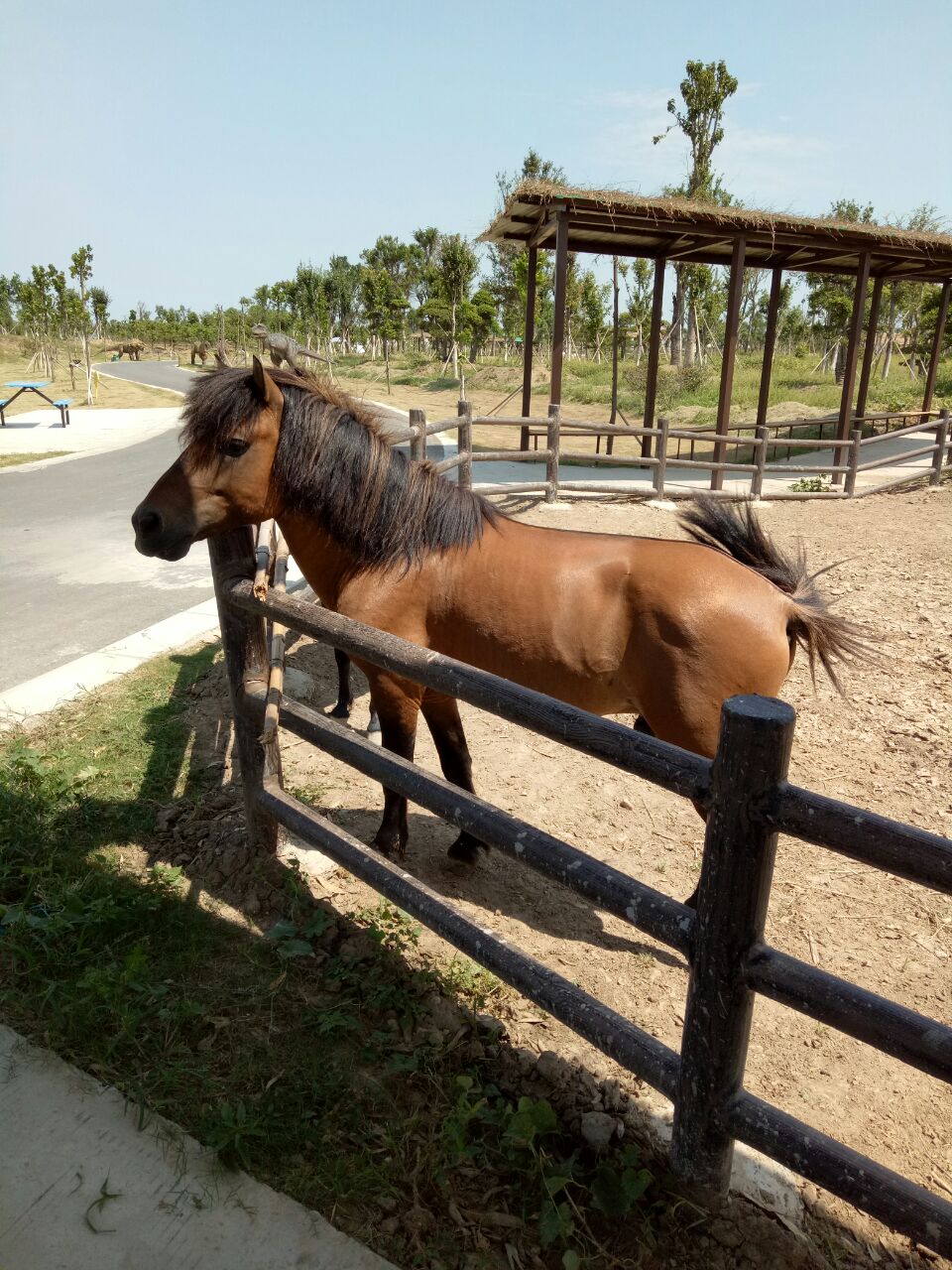 宿州宿州野生動物園好玩嗎,宿州宿州野生動物園景點怎麼樣_點評_評價