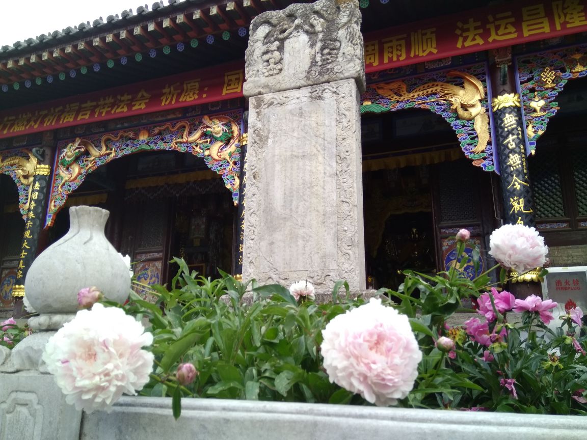 上海镇海寺图片