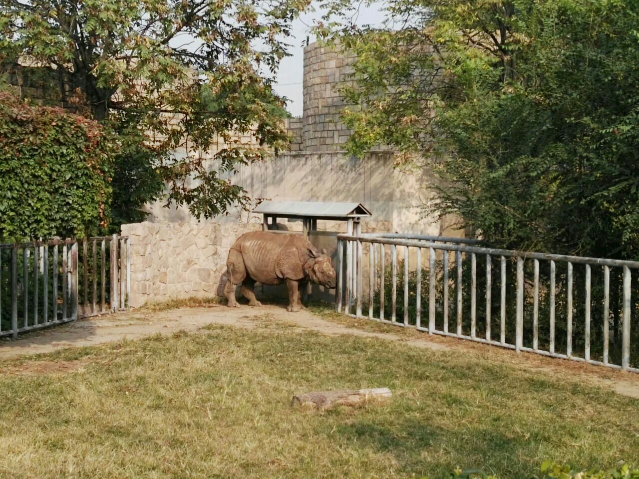 2023北京動物園遊玩攻略,.,現在獅虎山施工看不了,.【去哪兒攻略】