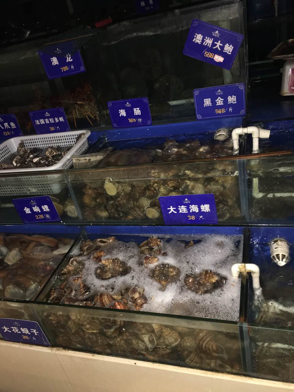 2025海鲨湾海鲜会馆(百家湖1912店)美食餐厅,来过好几次了，服务员杨敏锐 ... 【去哪儿攻略】