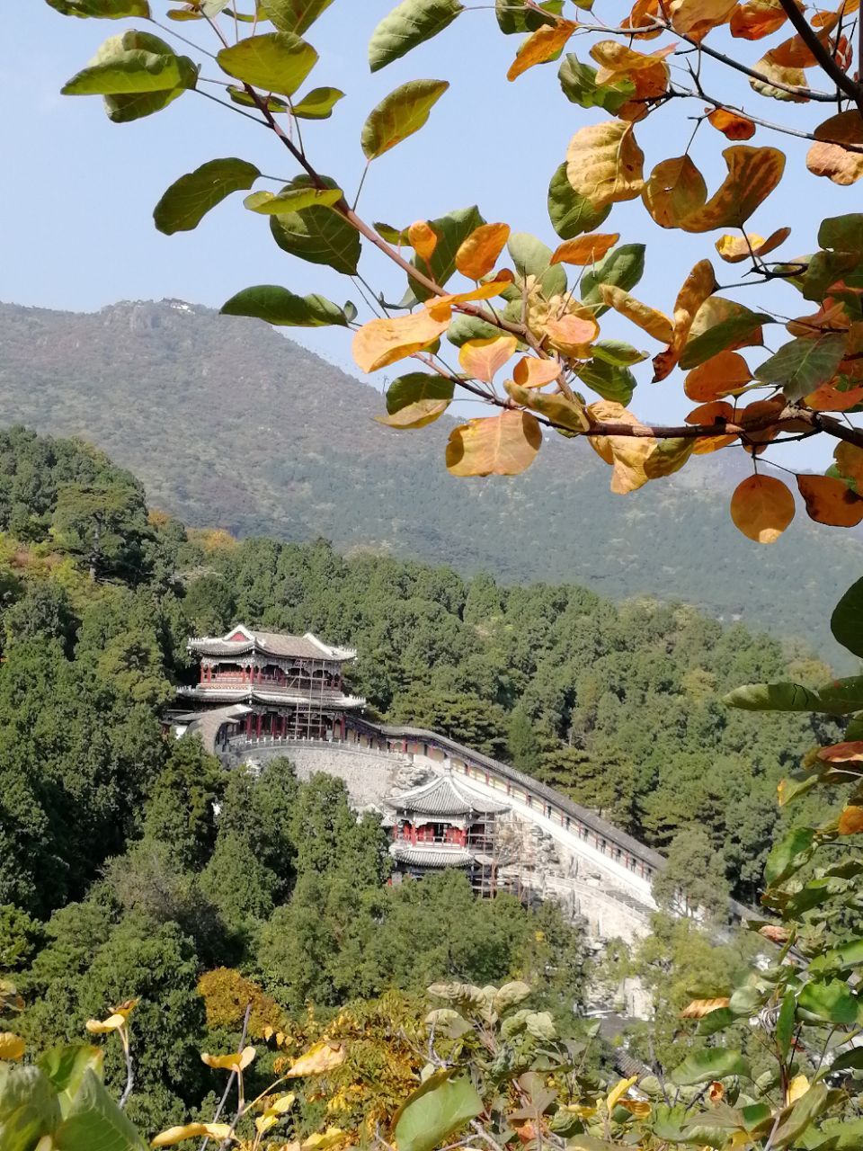 香山公園空氣好負氧離子在京城首屈一指紅葉很著名它是樹木繁茂的森林