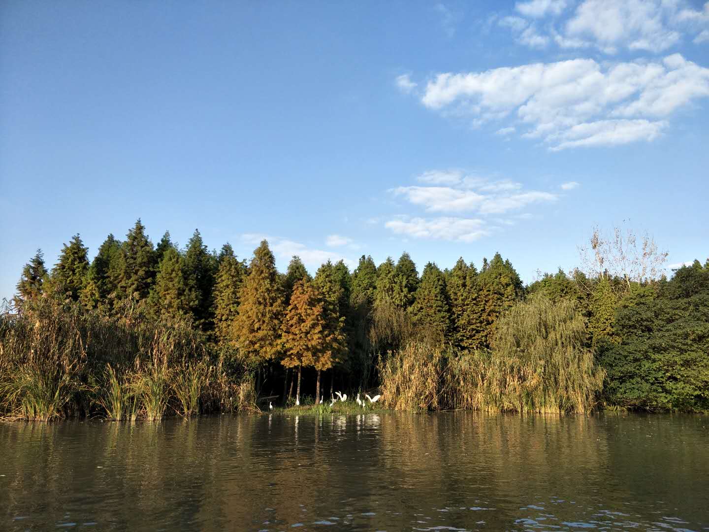 吉湖国家湿地公园图片
