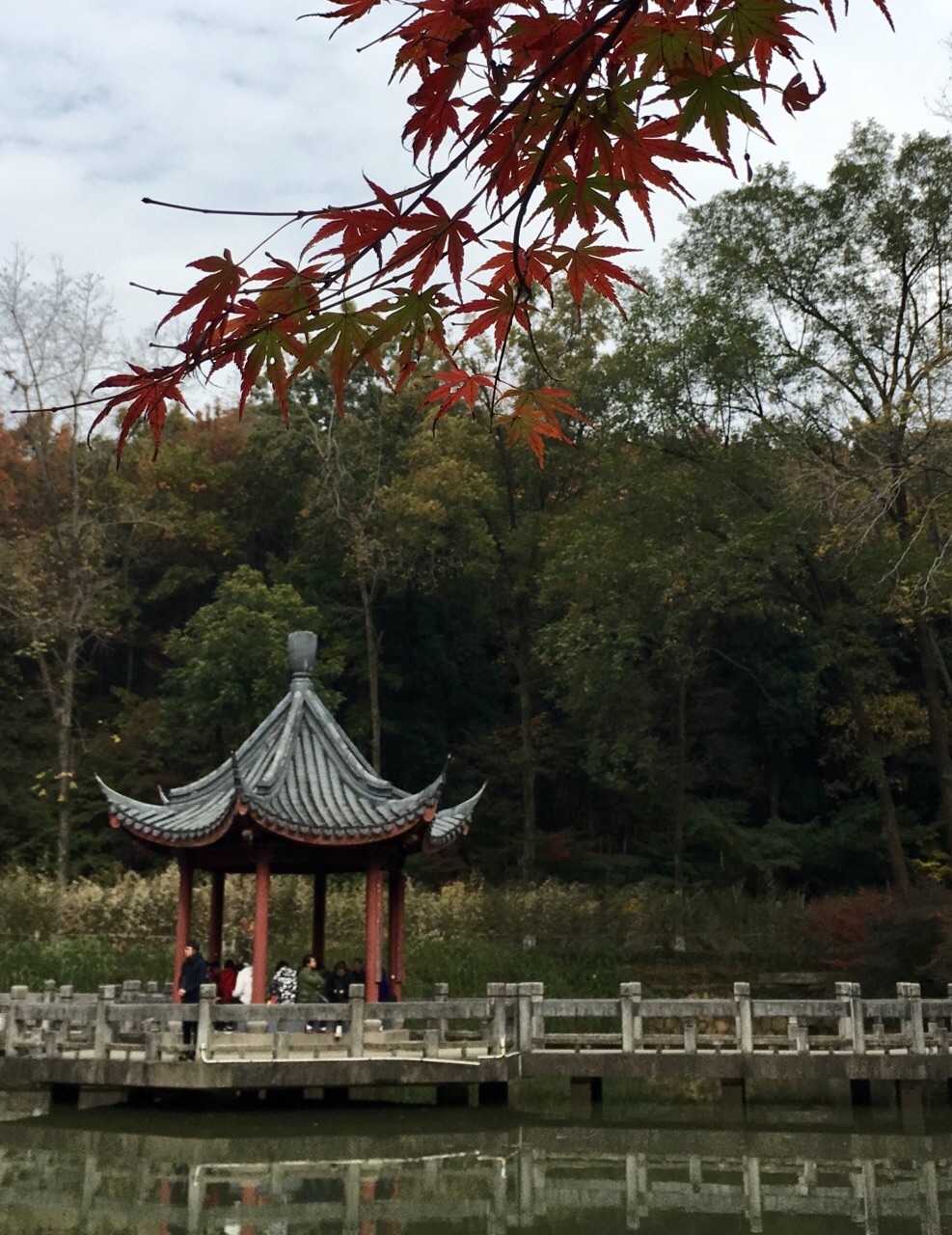 栖霞山风景区门票(栖霞山风景区门票优惠对象)