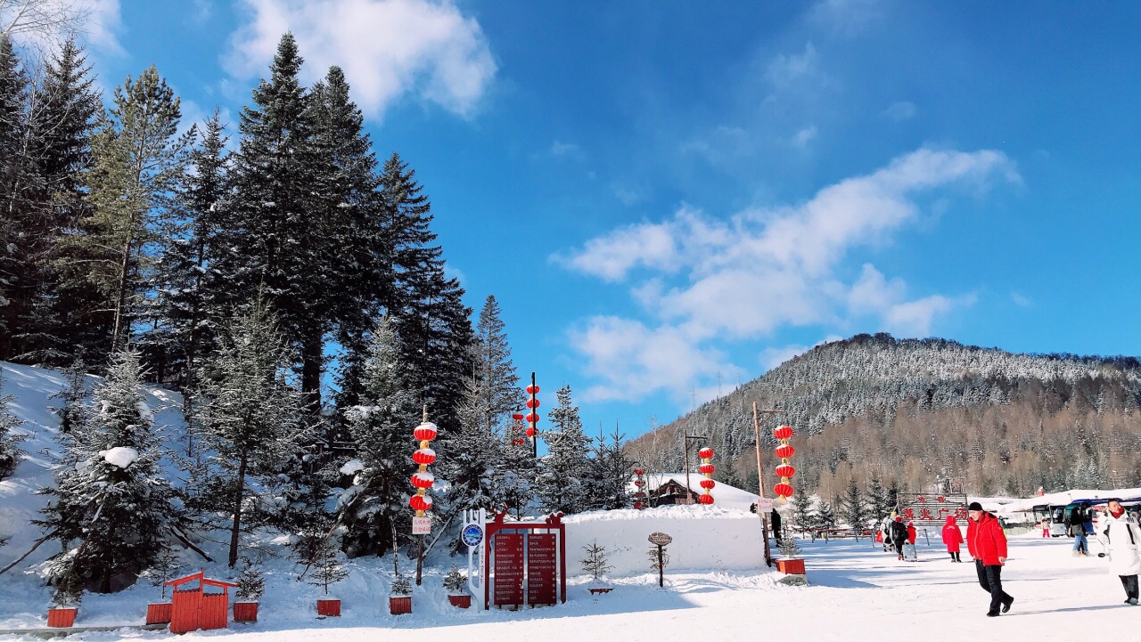 2023雪乡大雪谷游玩攻略,北国风光,千里冰封,万里雪.【去哪儿攻略】