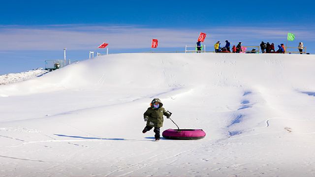 鄂尔多斯大草原