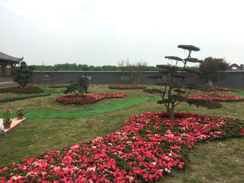 3-Day Guanghan Tour: Sanxingdui Culture and Western Flower Valley Scenery