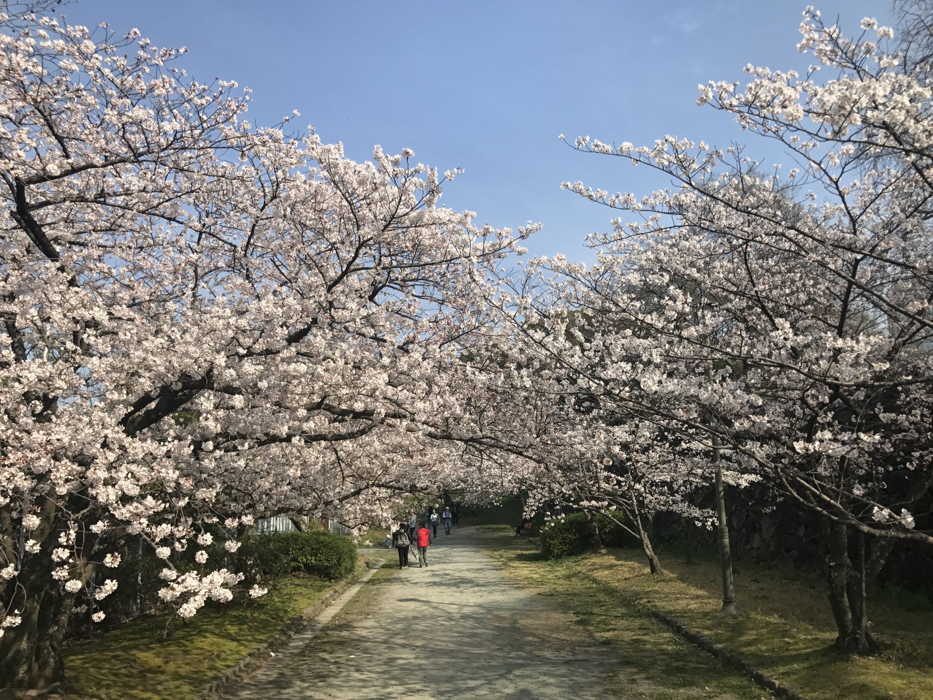 2018舞鹤公园_旅游攻略_门票_地址_游记点评,福冈旅游景点推荐 - 去