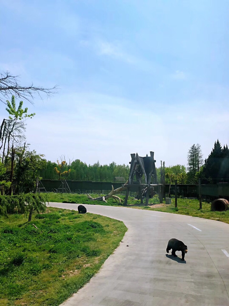 【往返巴士】新加坡河川生态园(含门票车费)(4大园促销)