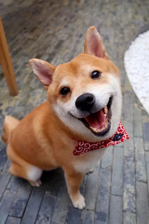 佳能微单M100 假期出行拍摄利器