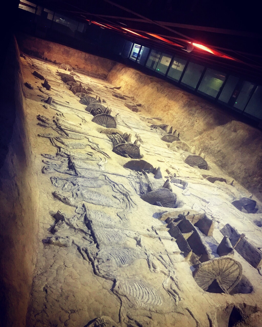 楚王车马阵景区(熊家冢国家考古遗址公园)