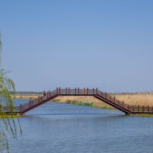 泗洪洪澤湖溼地旅遊景點攻略圖