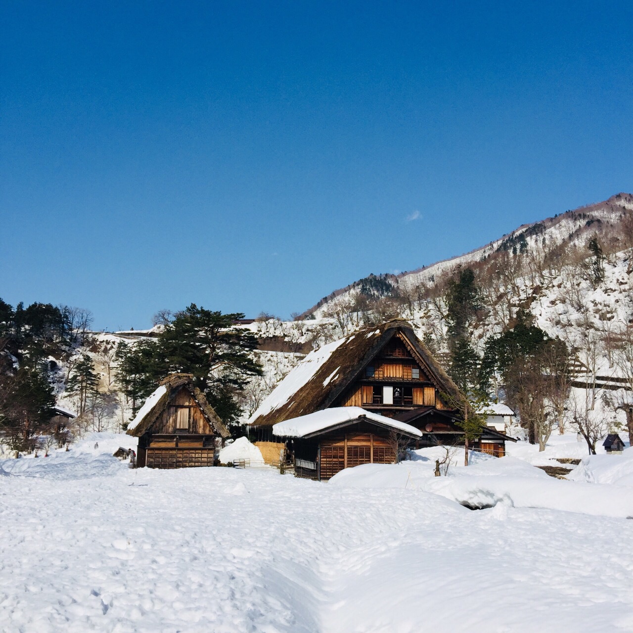 白川鄉合掌村旅遊景點攻略圖