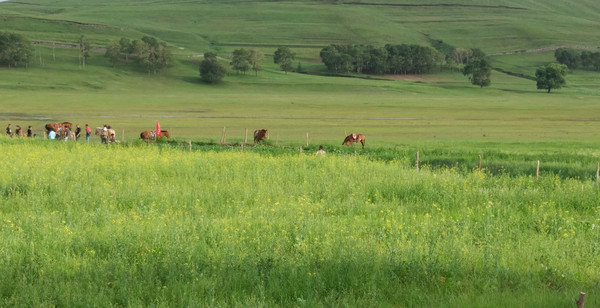 2018夏游张家口草原天路十天(一)第一天至第四