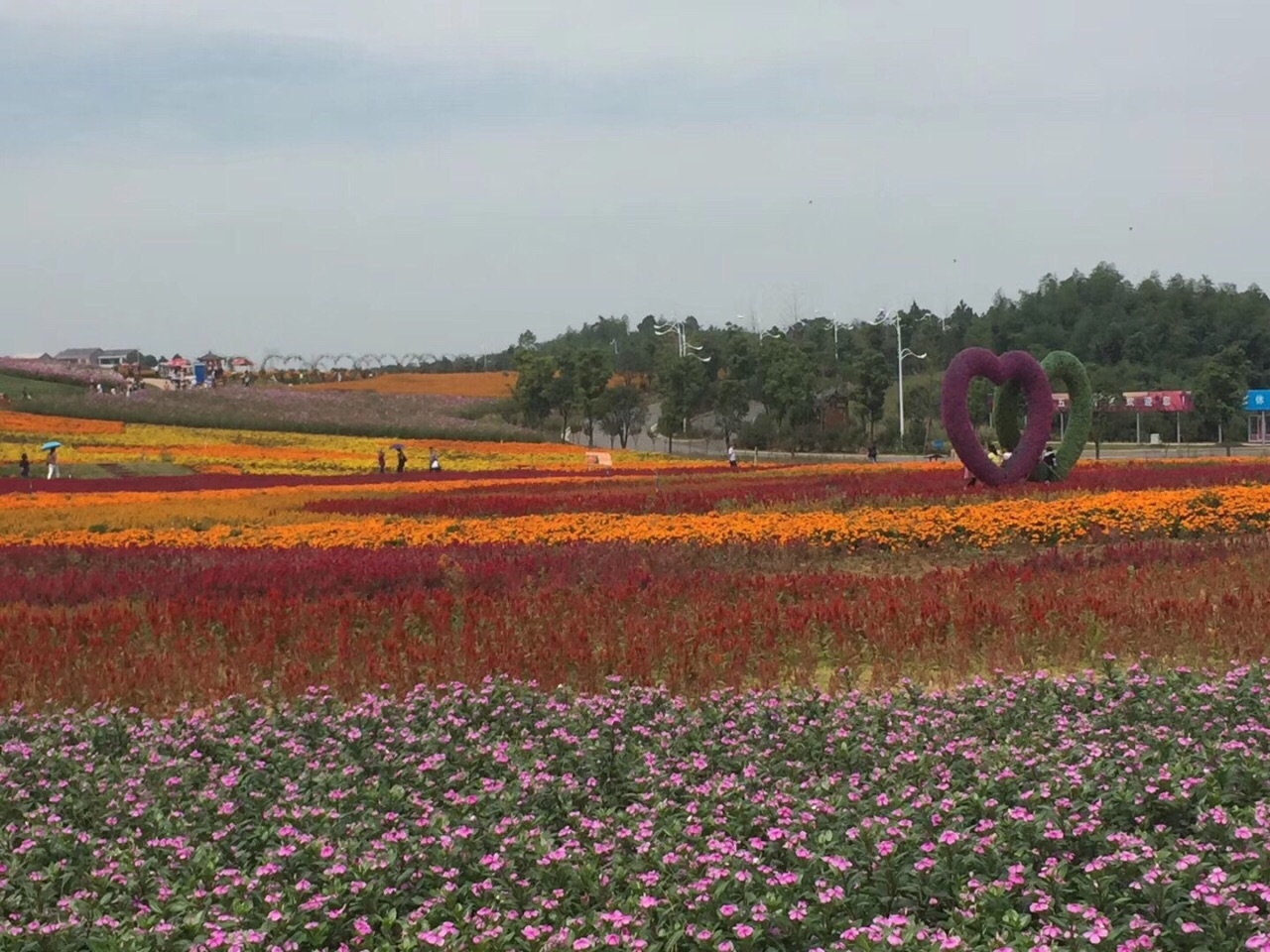 2019花都香草世界_旅游攻略_门票_地址_游记点评,花都旅游景点推荐 - 去哪儿攻略社区