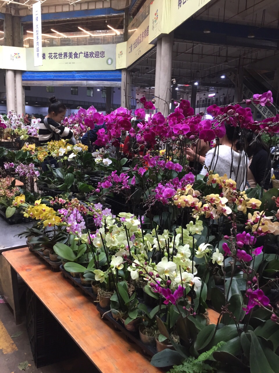 斗南花卉市场