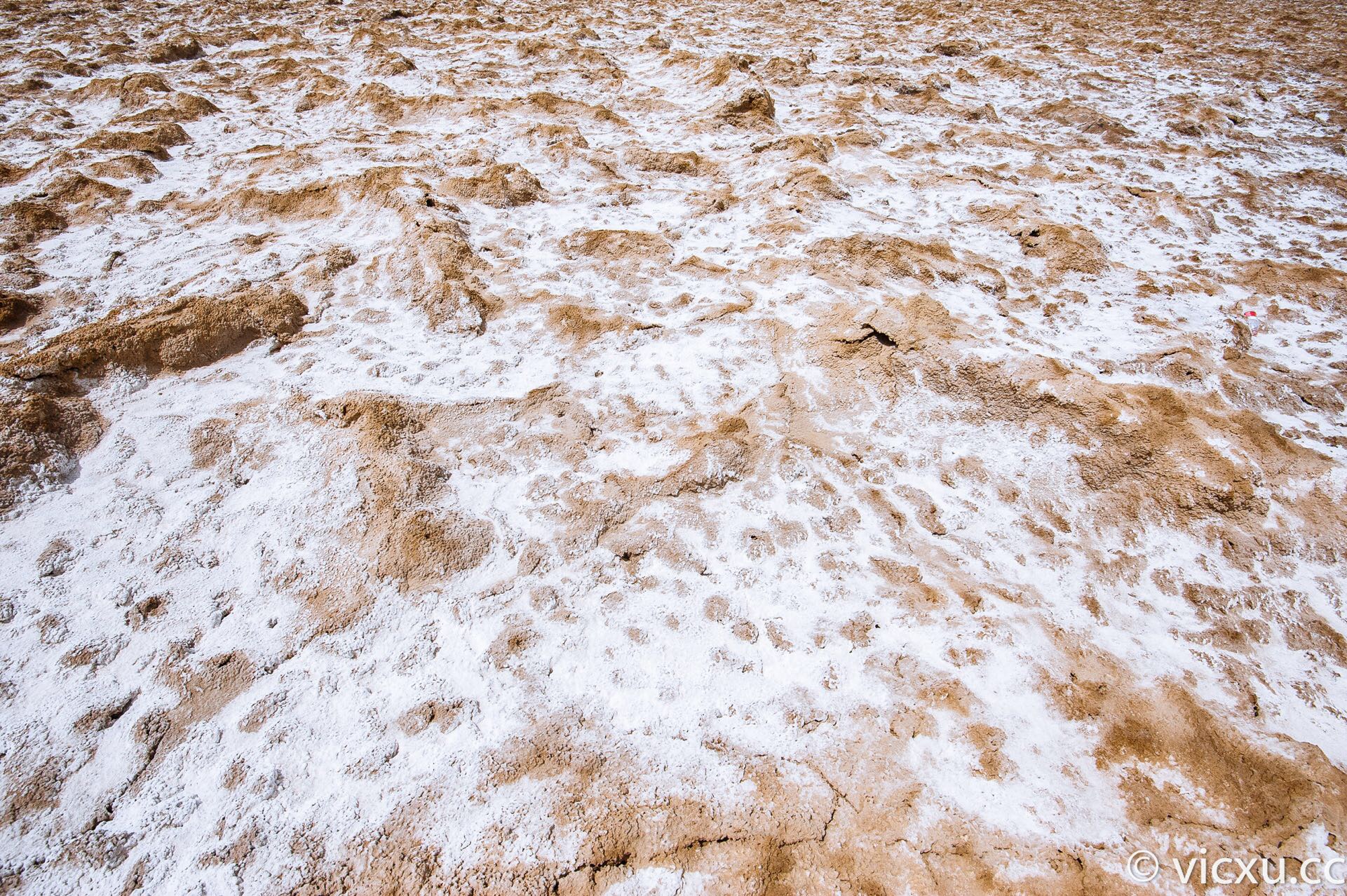 【携程攻略】若羌罗布泊景点,在从若羌进罗布泊的省道235上见着一个背