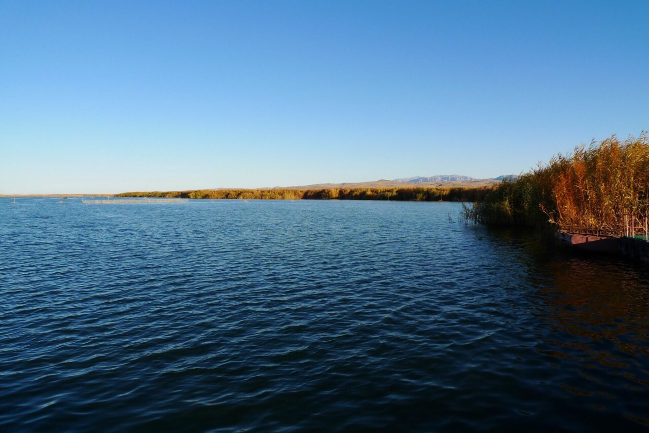 新疆博斯腾湖迎来开湖季 感受鱼跃人欢 欣赏 巨网捕鱼