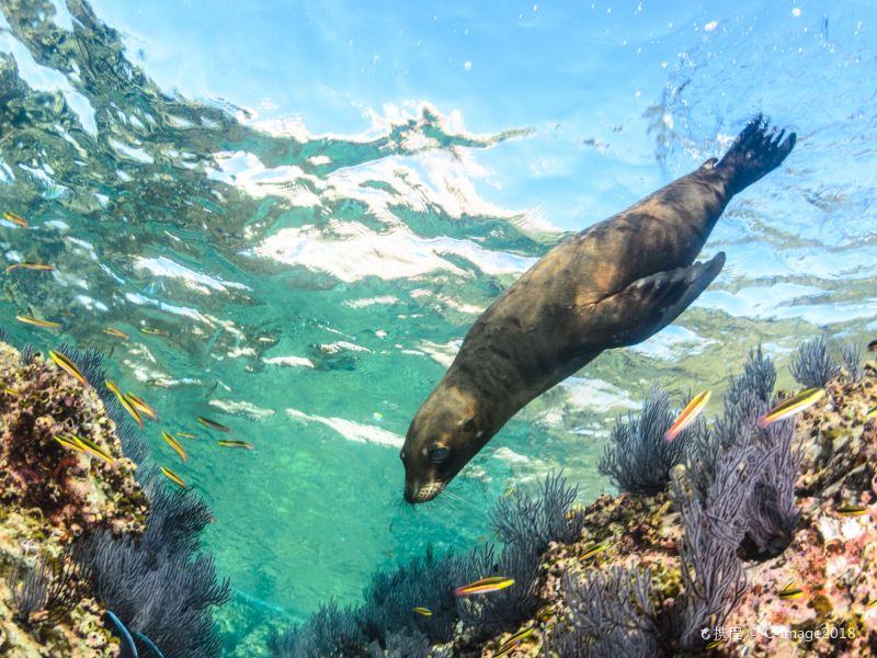 瓦努阿图 圣埃斯皮里图岛