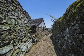 3-Day Ninghai Tour: Countryside charm and island allure