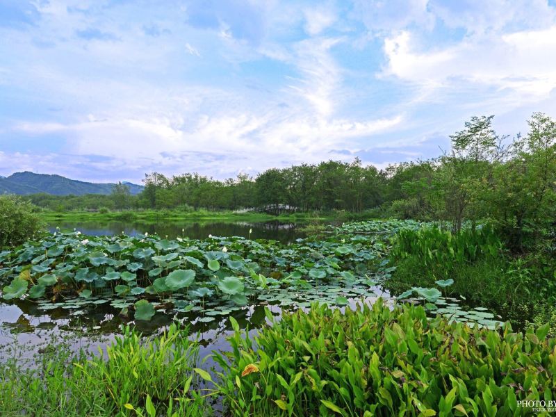 丽水处州公园攻略-处州公园门票价格多少钱-团购票价预定优惠-景点