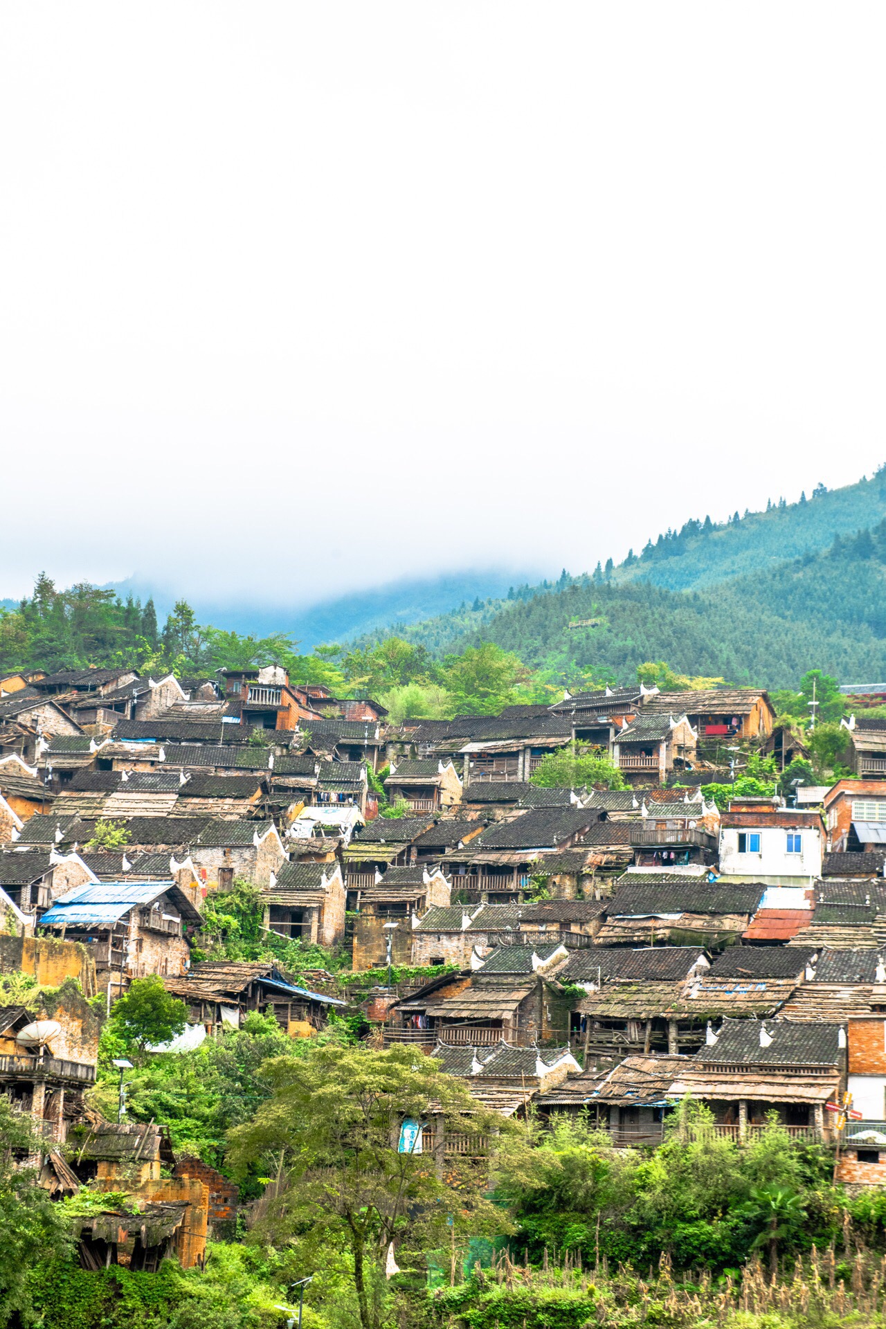 连南连南油岭民俗瑶寨好玩吗,连南连南油岭民俗瑶寨景点怎么样_点评
