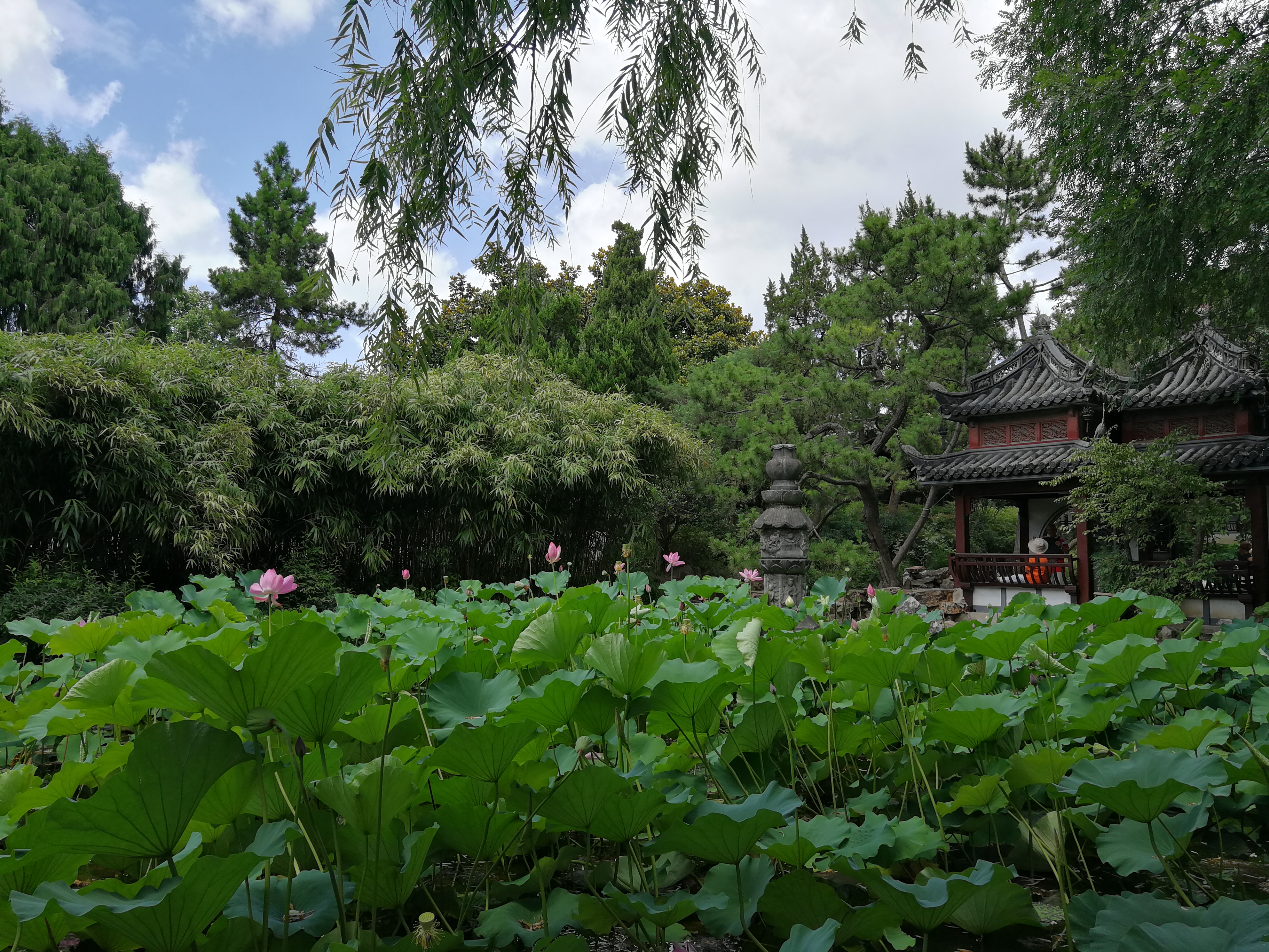 【携程攻略】上海古猗园景点,古猗园是上海5大古典园林之一,4a景区.