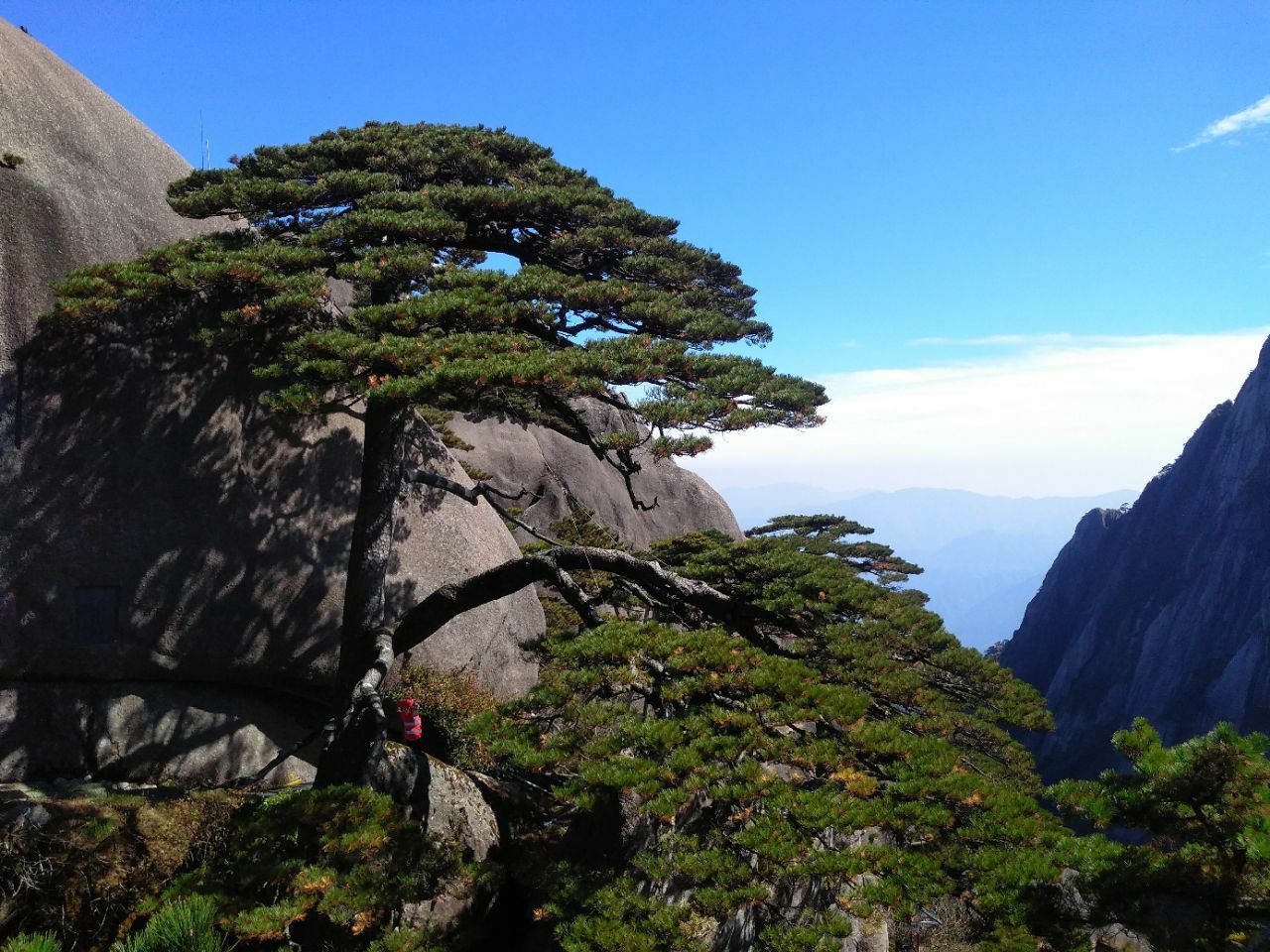 【攜程攻略】黃山風景區迎客松景點,來黃山什麼都可以錯過 但是黃山