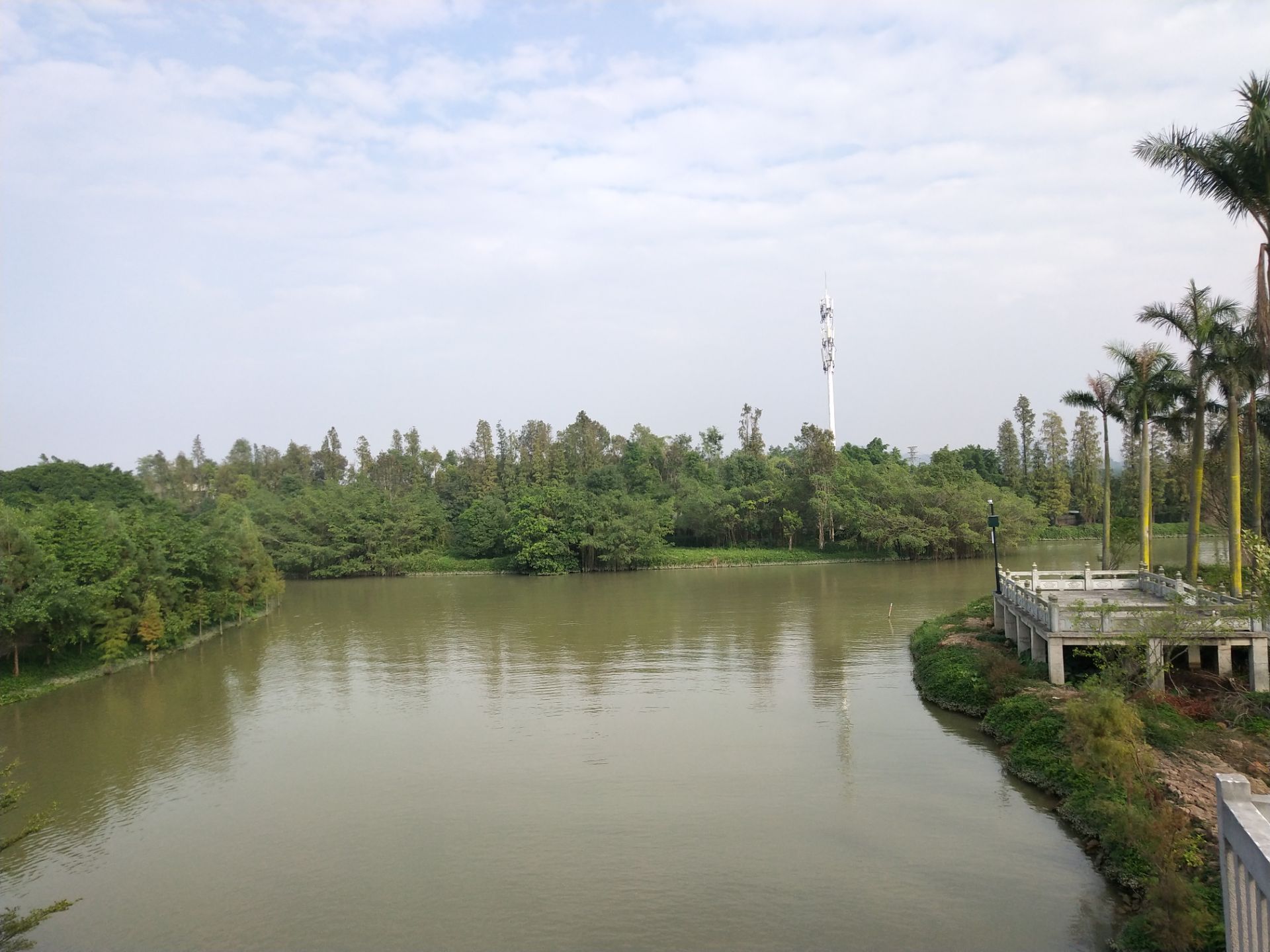 1棵500年榕树占地20亩，100多种鸟类的乐园，就是广东的小鸟天堂_新浪旅游_新浪网
