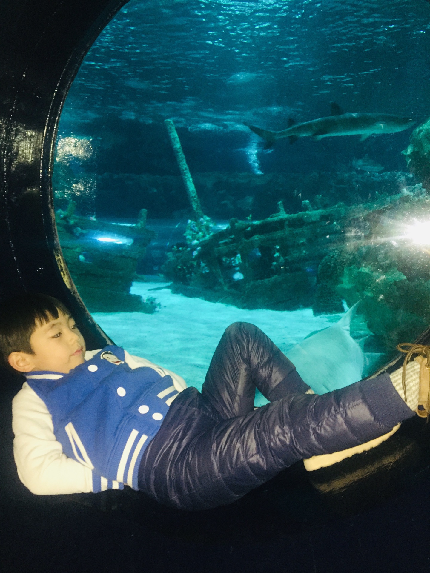 【携程攻略】北京富国海底世界景点,不错，看到了美人鱼和海狮表演，孩子挺喜欢的