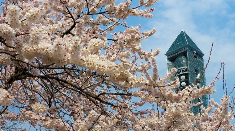 名古屋东山植物动物园游玩攻略 东山植物动物园 门票多少钱 价格表 团购票价预定优惠 景点地址在哪里 图片介绍 参观预约 旅游游览顺序攻略及注意事项 营业时间 携程攻略