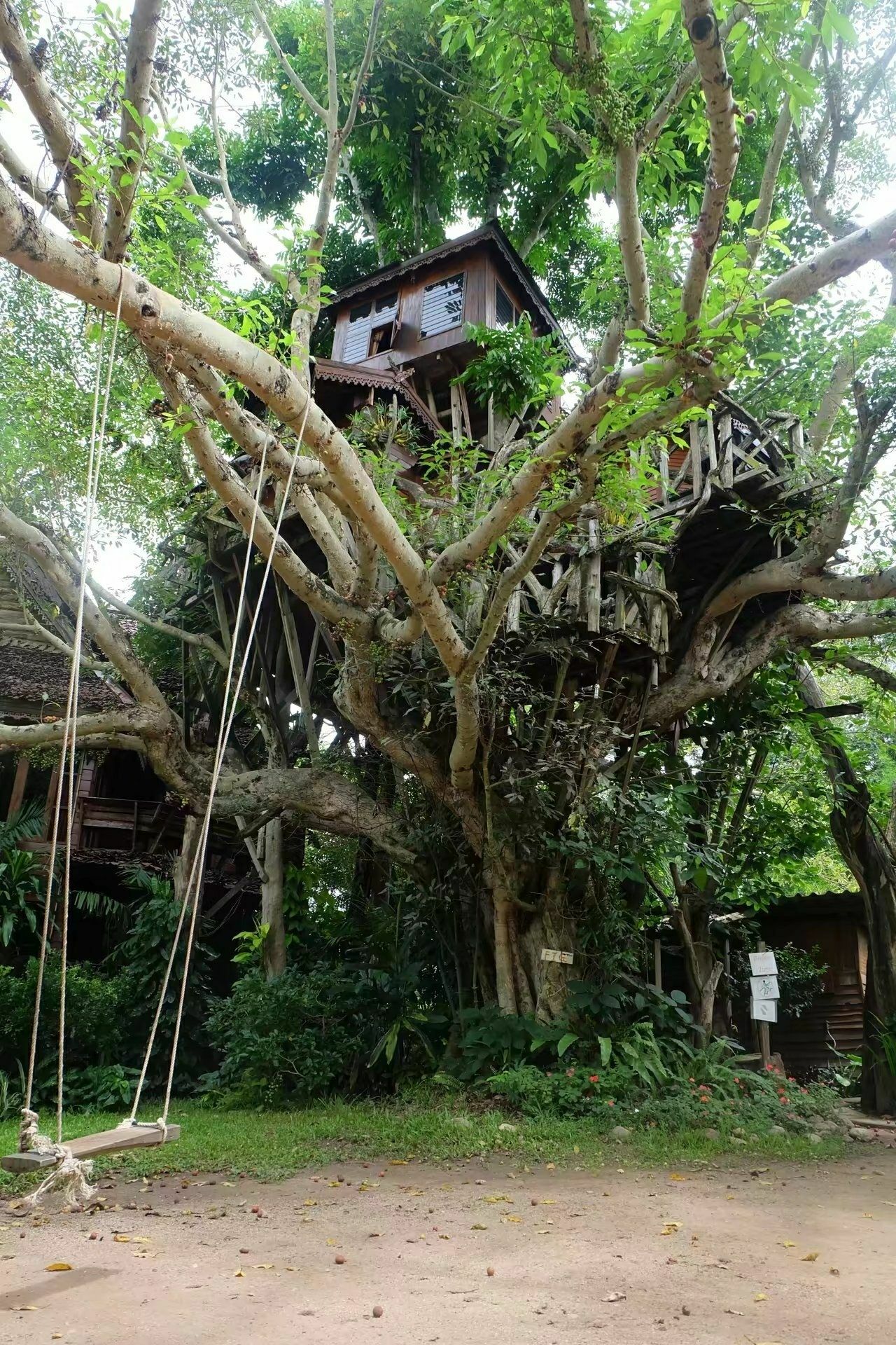 杭州开元森泊度假酒店“树屋”：簇拥推搡的“小矮人” / 王晖建筑工作室 | 建筑学院