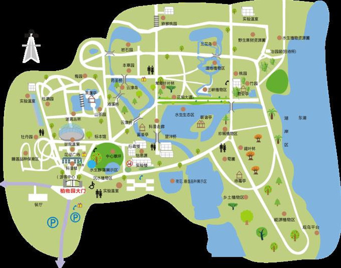 武汉植物园平面图图片