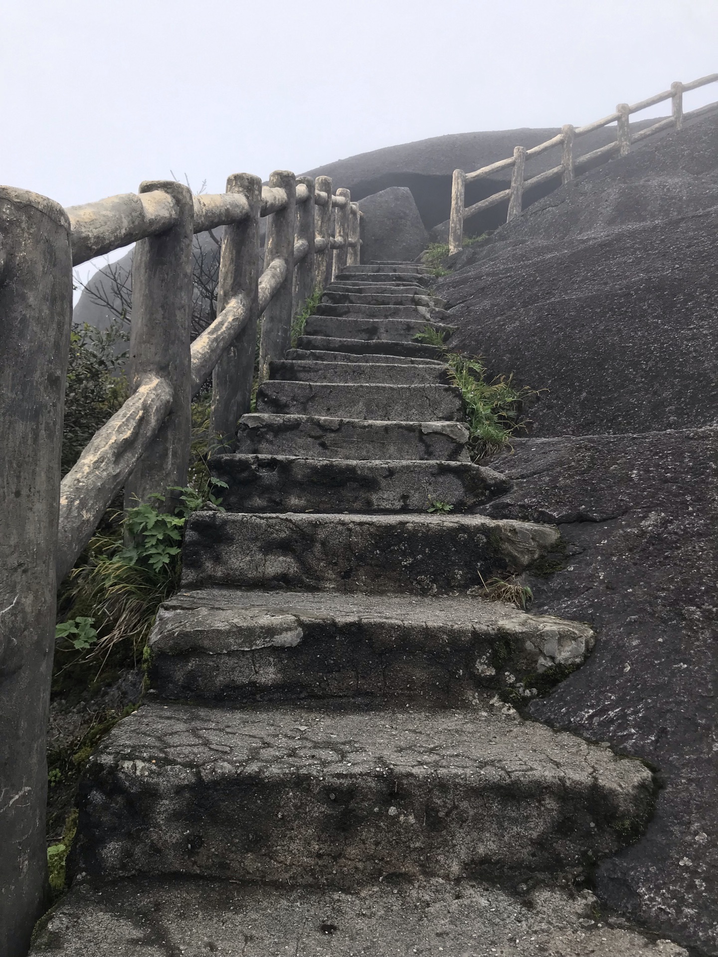 桂林猫儿山山顶温度图片