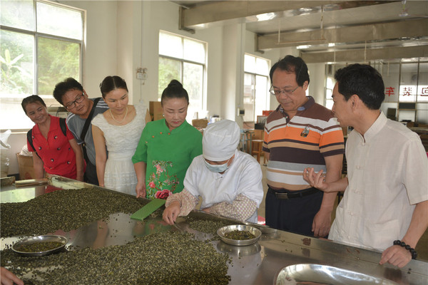 歌唱家唐佩珠贾双飞深入八桂茶叶山为劳动者唱茶歌 歌唱,歌唱家,唐佩,唐佩珠,佩珠