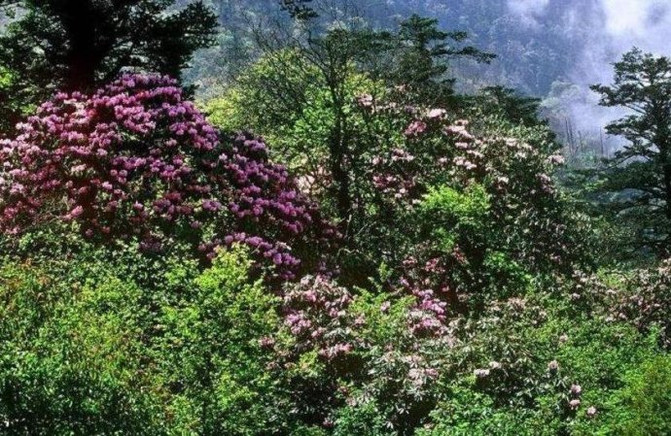 佛教四大名山八小名山 100r14000000wy2b41379_R_671_10000_Q90.jpg?proc=autoorient